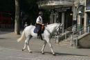 Mounted London Policewoman